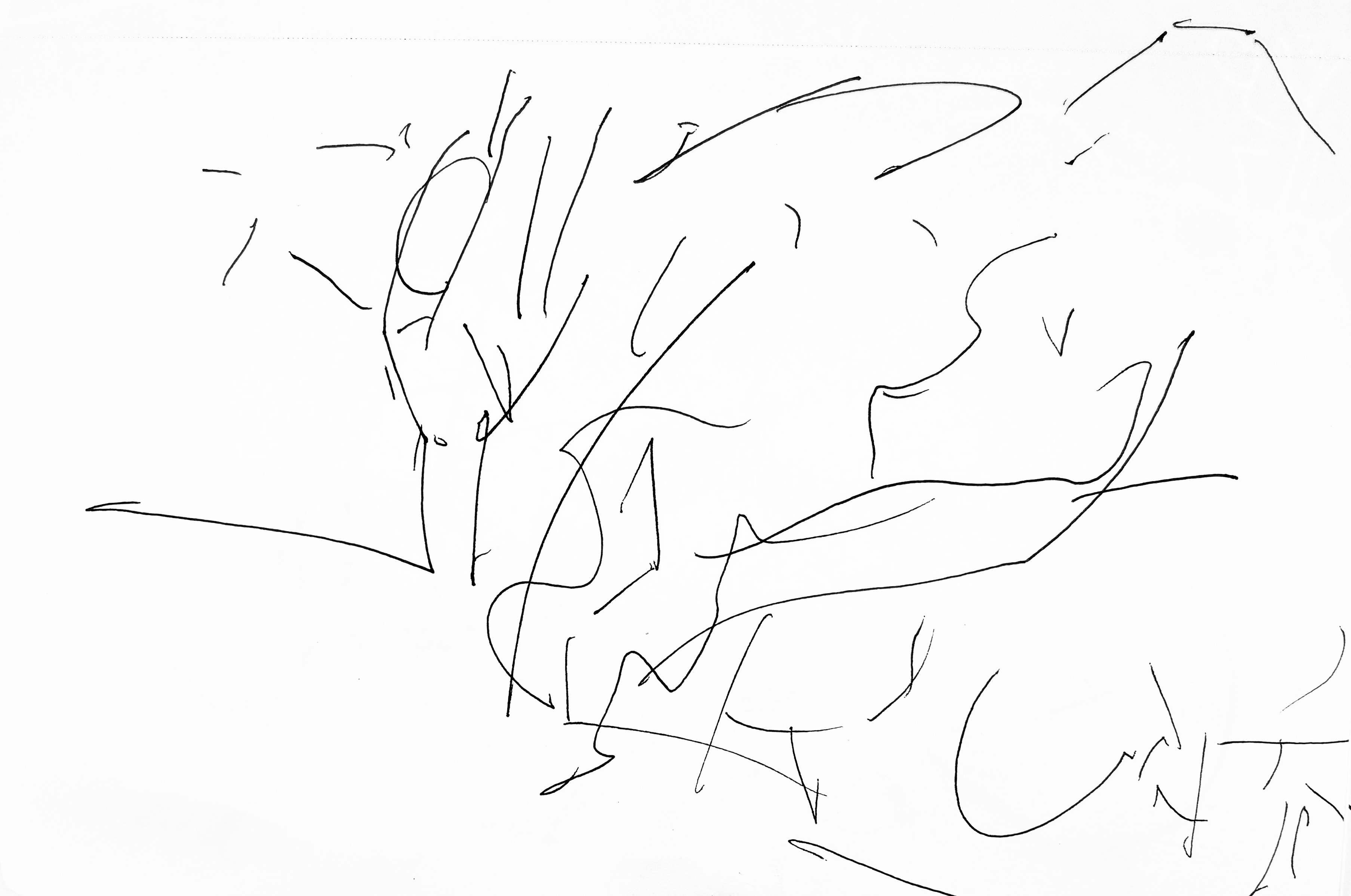 Artwork by Colton Summers