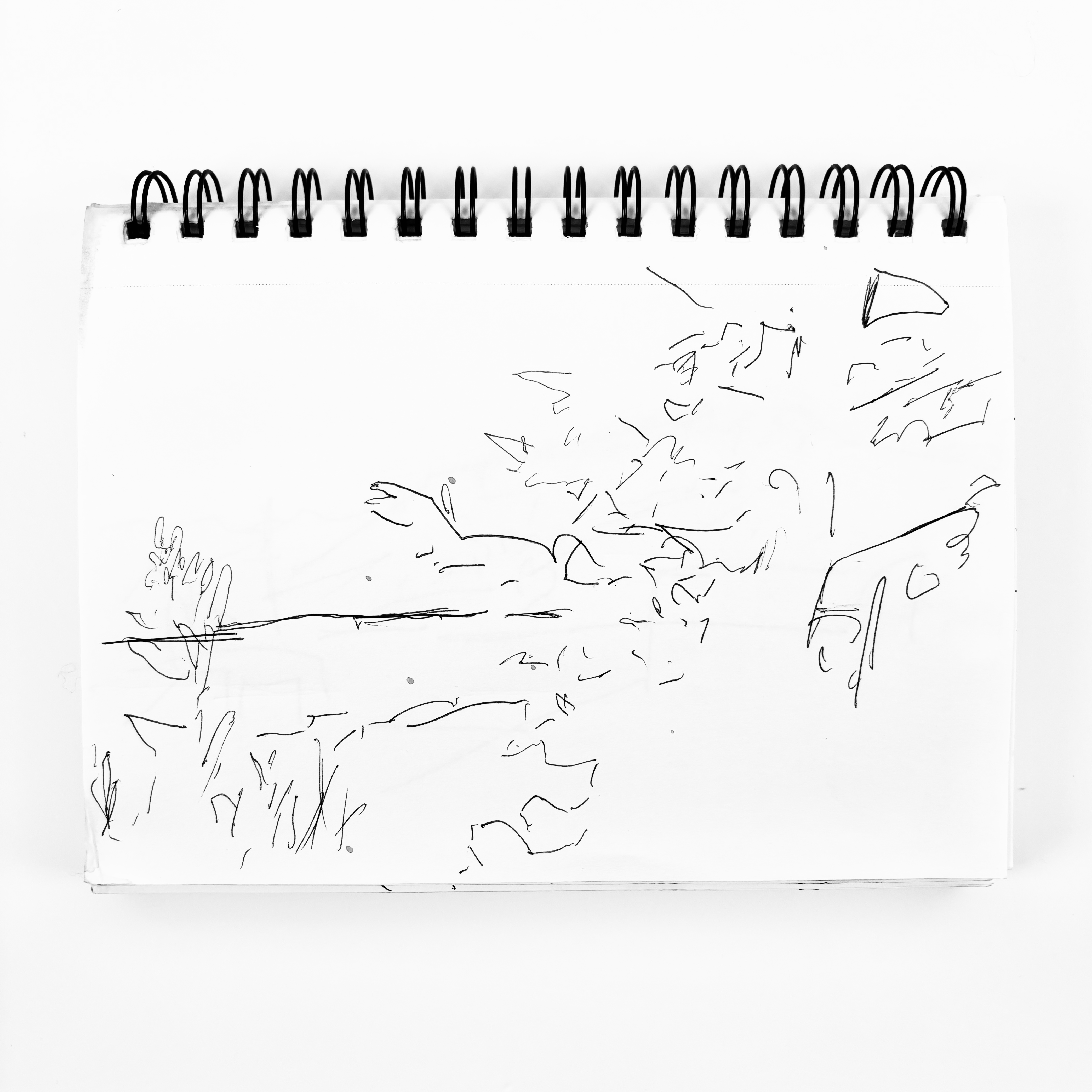 Artwork by Colton Summers
